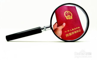 家庭房产信息查询与房地产咨询指南