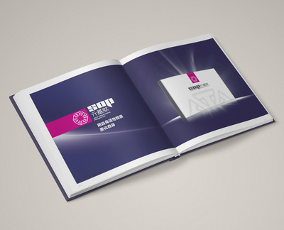 画册排版设计 元基企业房地产信息咨询的品牌展示艺术