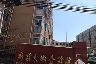 上海彩凤房地产信息咨询事务所地址解析及其在上海房地产市场中的服务定位